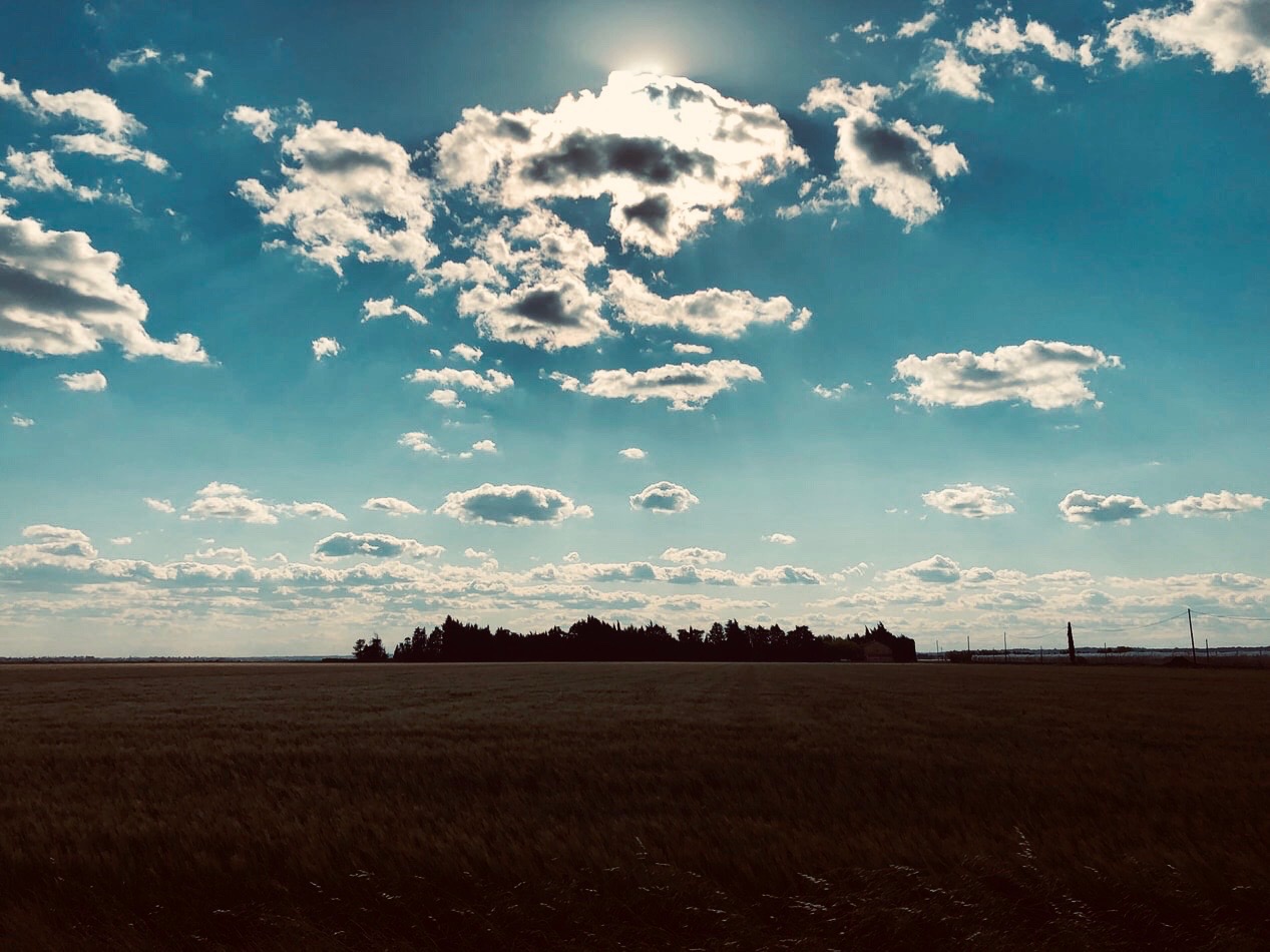 Padma mccord New Homes Real Estate