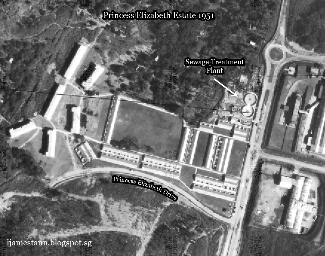 Princess Elizabeth Estate, Hillview A bizarre landmark at Princess