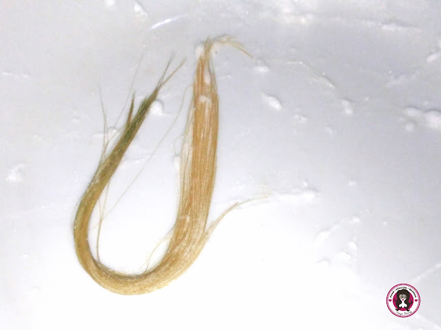 Piaya Diary How To Get Rid Of Green And Brassy Strands On Blonde Hair