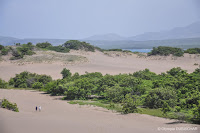 Dunes de Bani, Peravia en République Dominicaine Dunes de Bani, Peravia en République Dominicaine