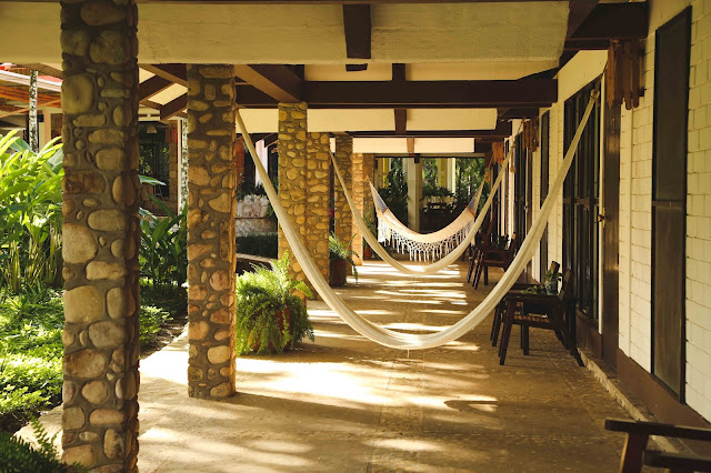 hotel en palenque chiapas cerca de la selva