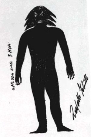 Universo Ignoto Ufologia indipendente e Misteri Il caso Zanfretta