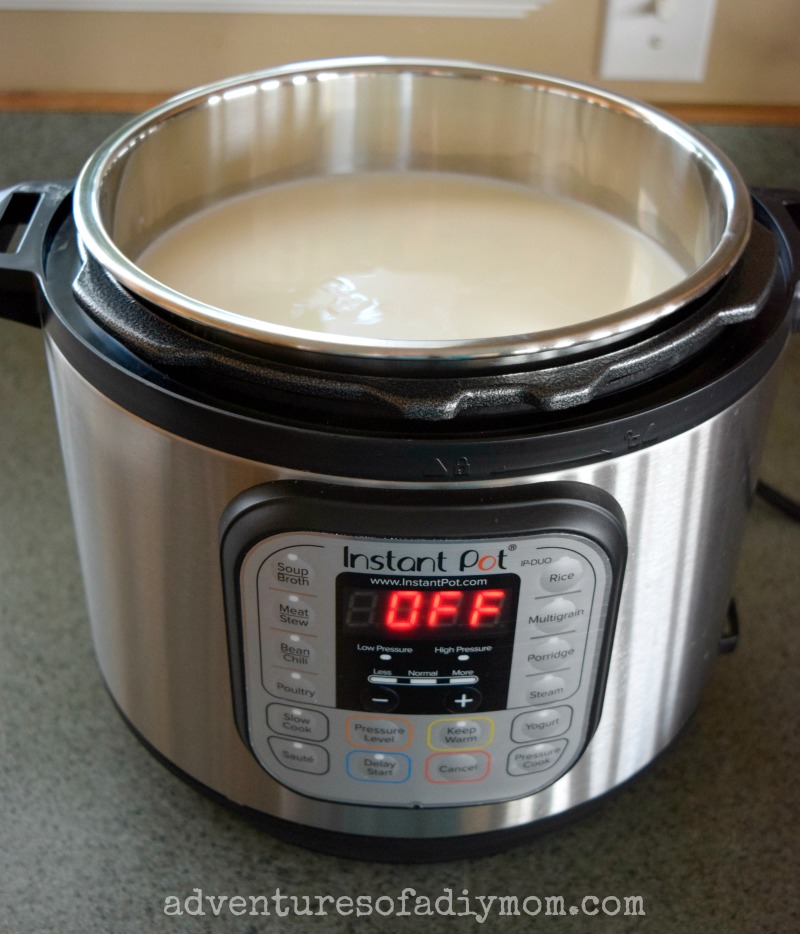 How to Make Homemade Yogurt using an Instant Pot Adventures of a DIY Mom