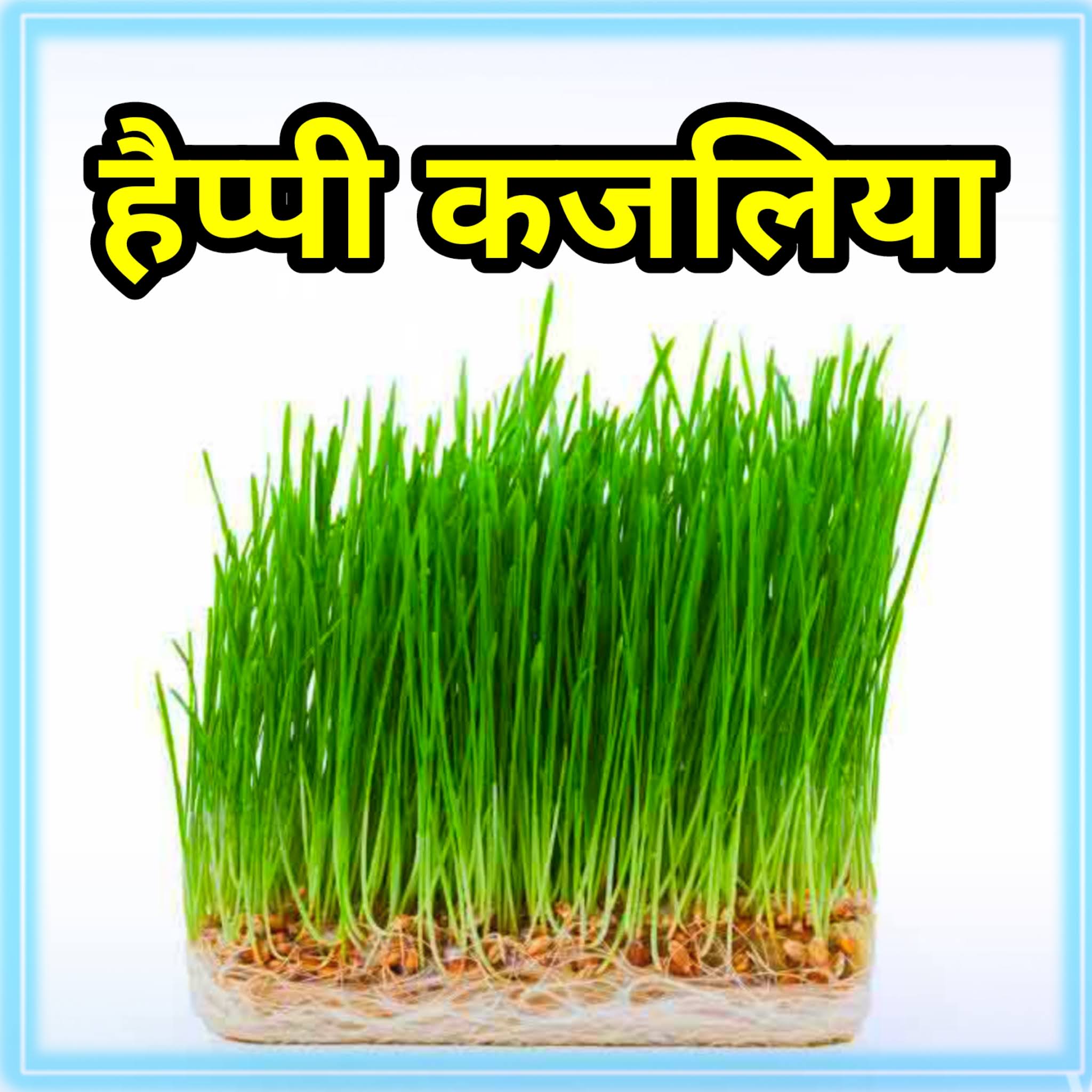 happy kajaliya image happy kajaliya image