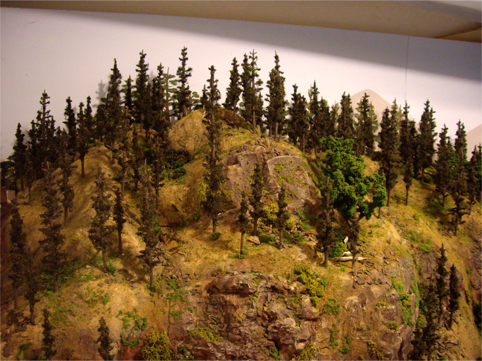 Completed mountain forest scenery consisting of various model trees, ground foams, talus and field grasses
