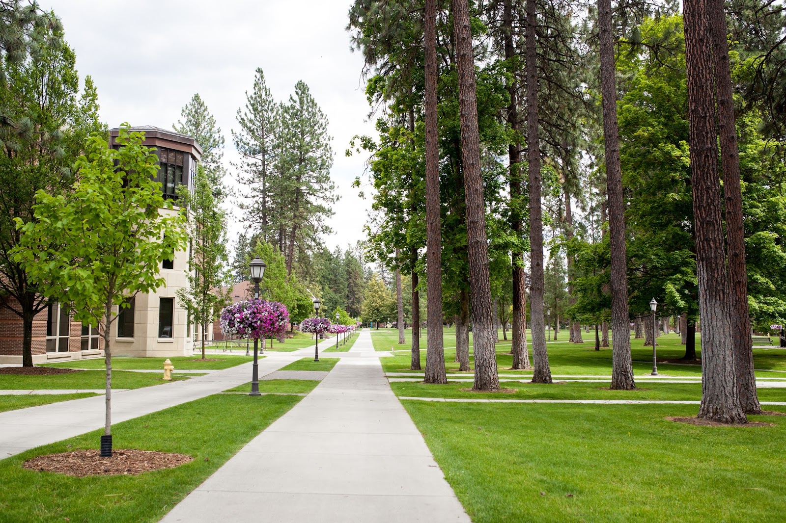 whitworth virtual tour