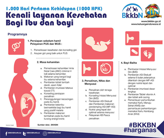 Empat hal pokok yang harus dilakukan ibu hamil selama periode 1000 HPK| BKKBN
