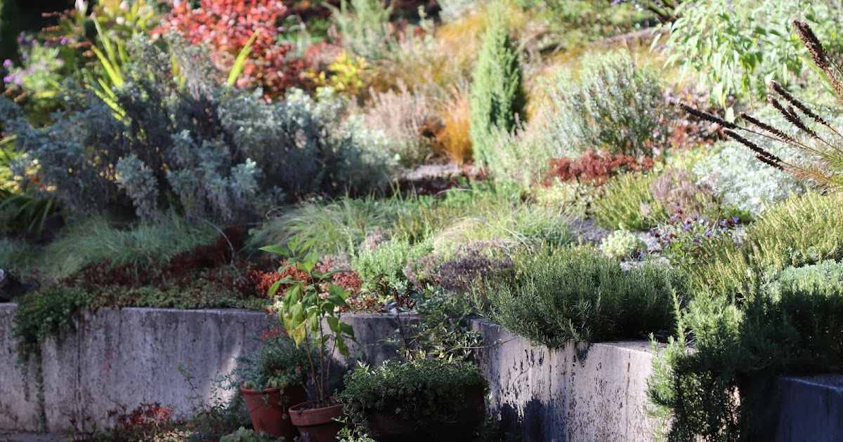 Chickadee Gardens