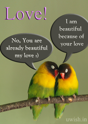 Love conversation of two lovely birds. I am beautiful because of your love. Beautiful Love wishes and greetings.