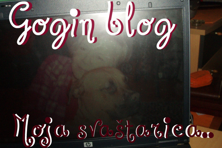  Gogin blog