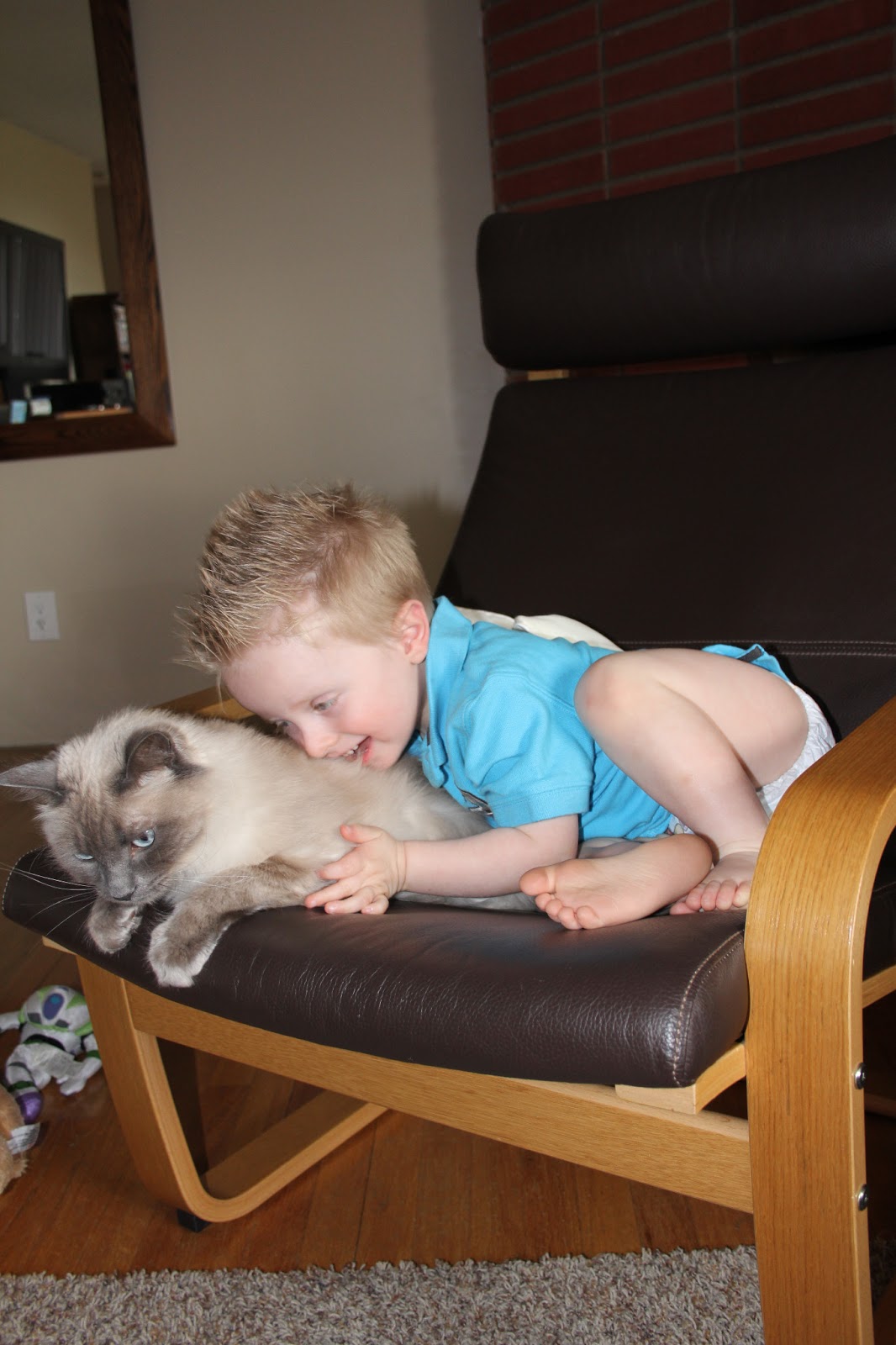 Dear Person Reading This, Cat Attack