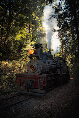 photo of steam locomotive in woods