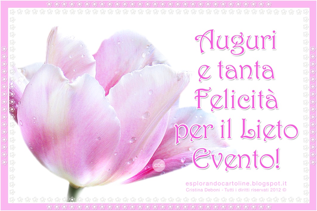 Cdb Cartoline Per Tutti I Gusti Delicata Cartolina Auguri E Tanta Felicita Per Il Lieto Evento Con Immagine Di Tulipano Rosa Dedicato A Una Bambina Appena Nata Da Scaricare Gratis