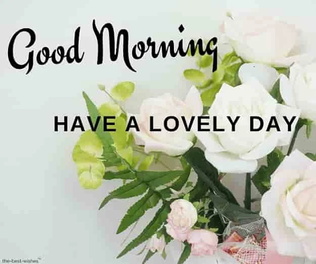 good morning images with white rose bouquet