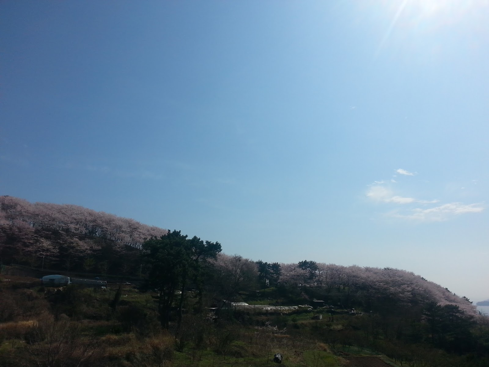 20160405_144756.jpg