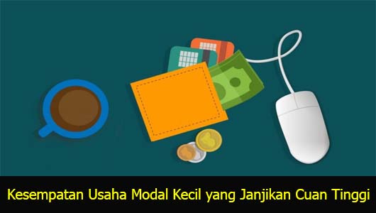 Kesempatan Usaha Modal Kecil yang Janjikan Cuan Tinggi