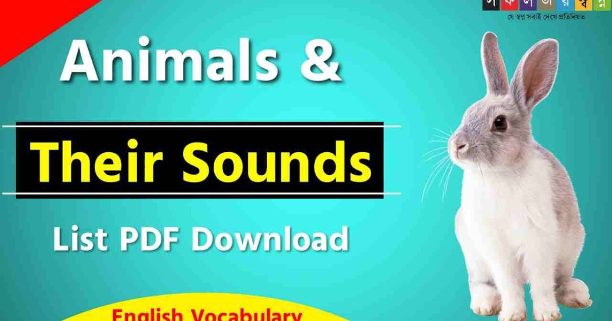 Animals & Their Sounds List PDF - সফলতার স্বপ্ন-Dreams of Success