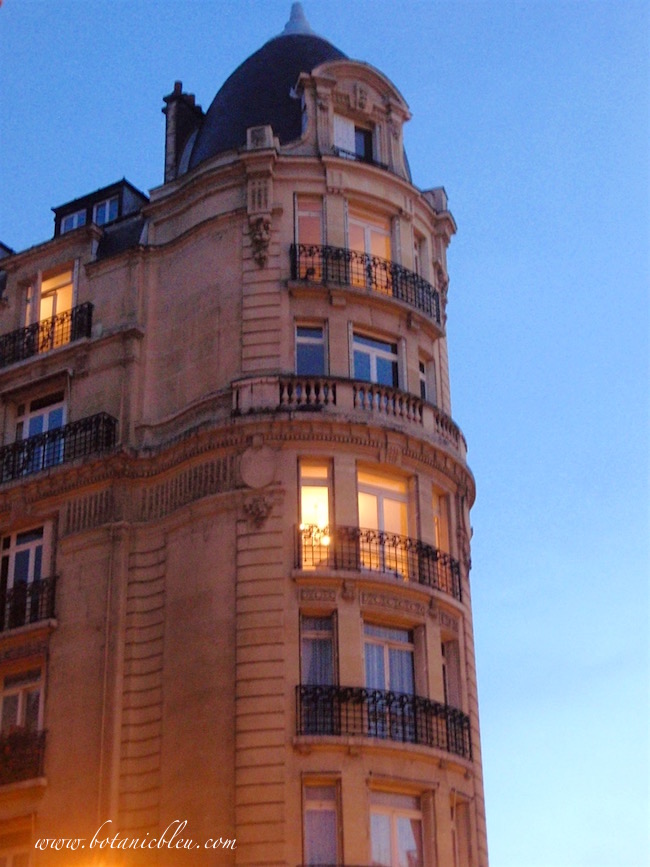 large-french-doors-in-paris-apartments-offer-views-both-inside-and-outside