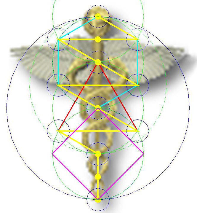 Spirit Musings: Medical Cadeceus - The interconnectivity between ...
