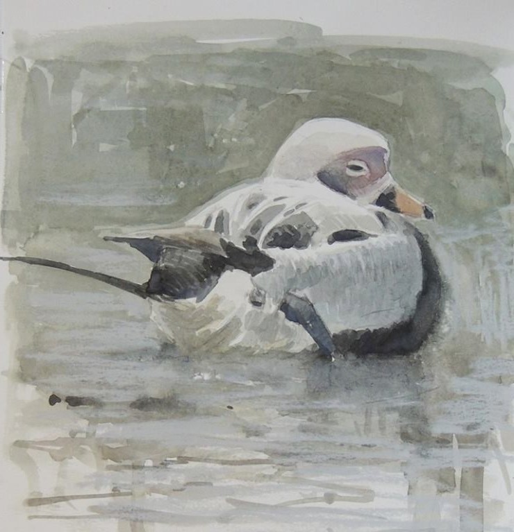 Tim Wootton Wildlife Art