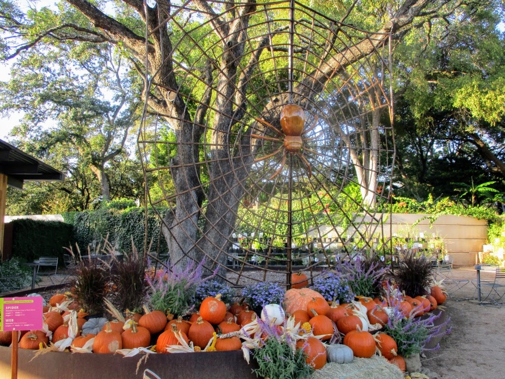 Rock Oak Deer Happy Halloween From San Antonio Botanical Garden