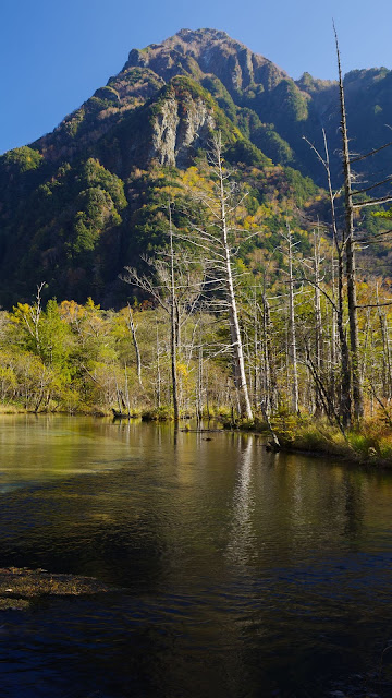 River, mountain, trees, autumn, landscape