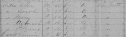 1881 census of Canada, Ontario, district 122, sub-district F-1, p. 45, dwelling 143, family 186, household of John Mills; RG 31; digital images, Ancestry.com Operations, Inc., Ancestry.com (www.ancestry.com : accessed 22 Jul 2020); citing Library and Archives Canada microfilm C-13239.