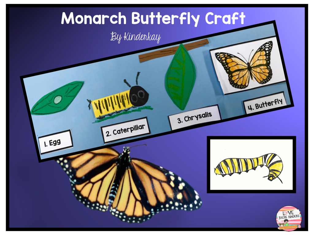 Monarch Butterfly Life Cycle and Craft Love Those Kinders