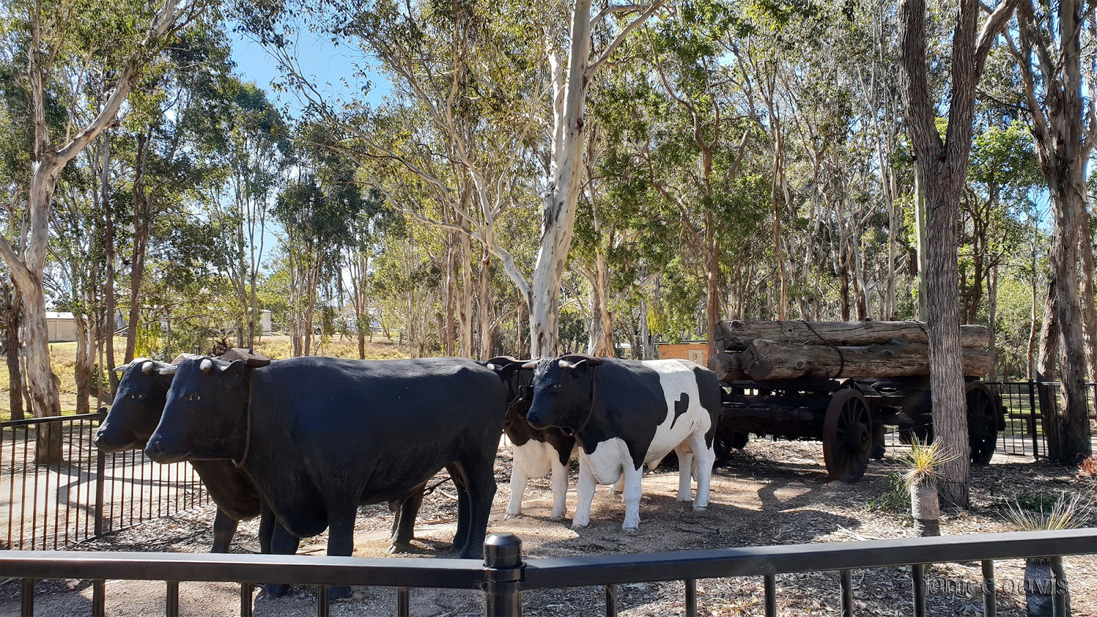 thoughts & happenings Way to Crows Nest, Queensland.