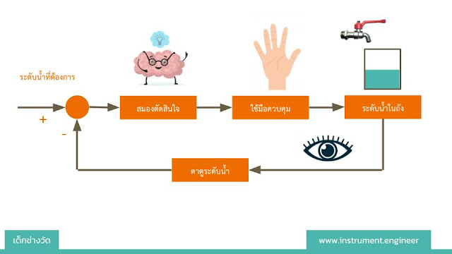 การควบคุมกระบวนการของร่างกายคนคนเรา