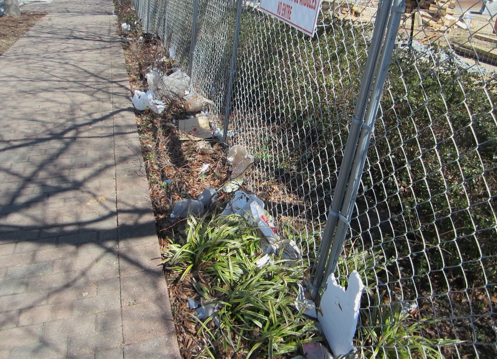 the Annandale Blog Volunteers urged to take part in the annual