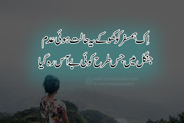 humsafar-quotes-in-urdu
