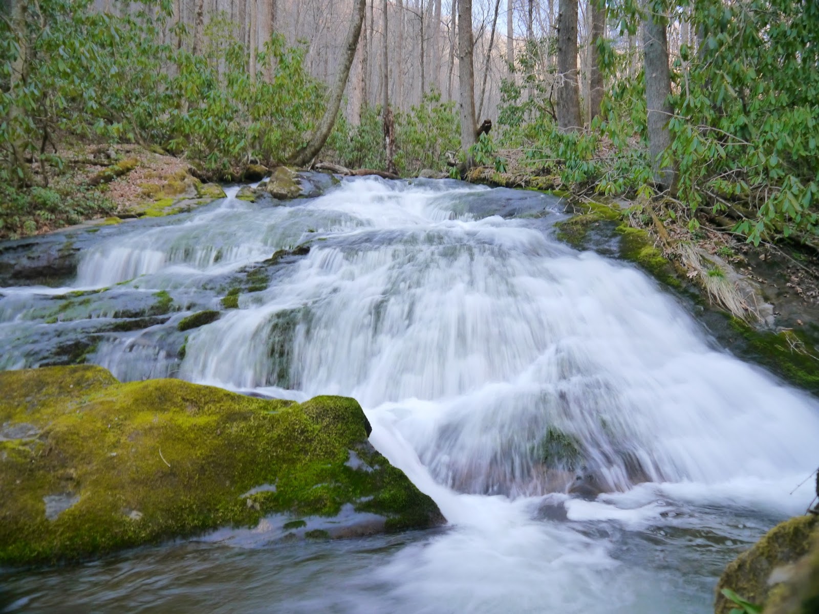 American Travel Journal: Chasteen Creek Cascade - Great Smoky Mountains