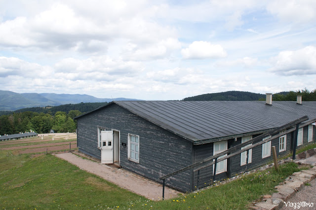 Le baracche del Campo di Concentramento di Natzweiler-Struthof