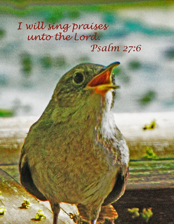 Singing Wren - Psalm 27:6