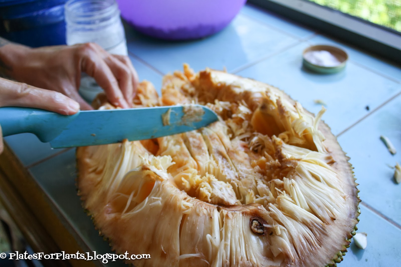Plates for Plants How to Eat A Jackfruit