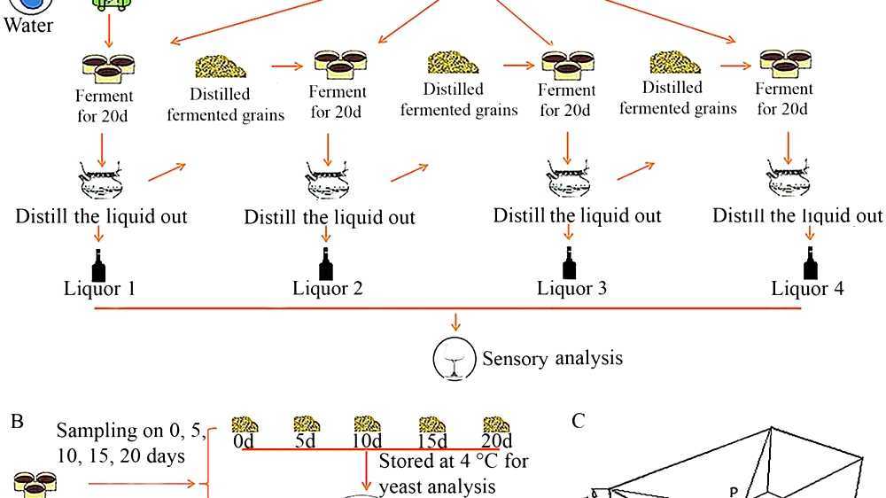 Solidstate fermentation