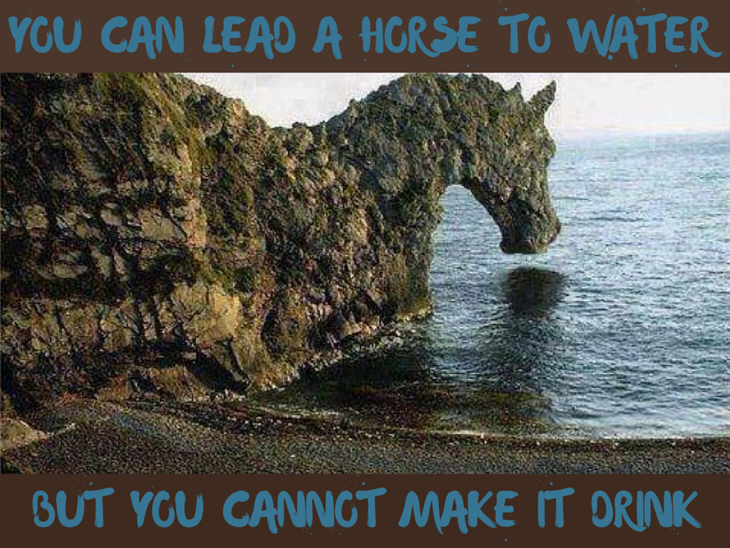 You can take a horse to water quote 304278You can bring a horse to