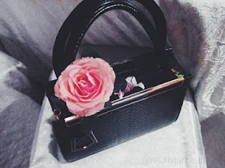 happy rose day 2016