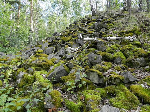 Каменная насыпь Курочкин лог