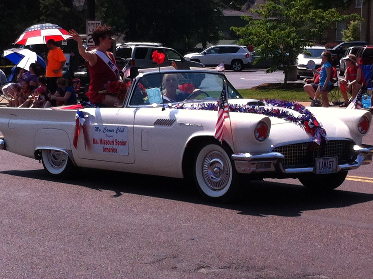 Pedal Brake Pedal Webster Groves Parade 2