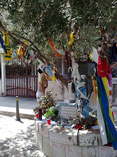 A commemorative tree has been planted in Via d'Amelio, where Borsellino was killed