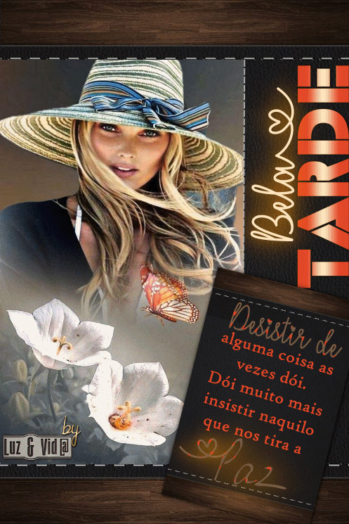 NOVO134%2B%2528MB%2529maryluz.gif
