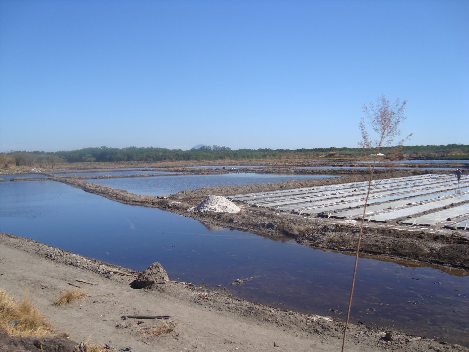 salado-man: Salinas PRODUSAL en accion!!!