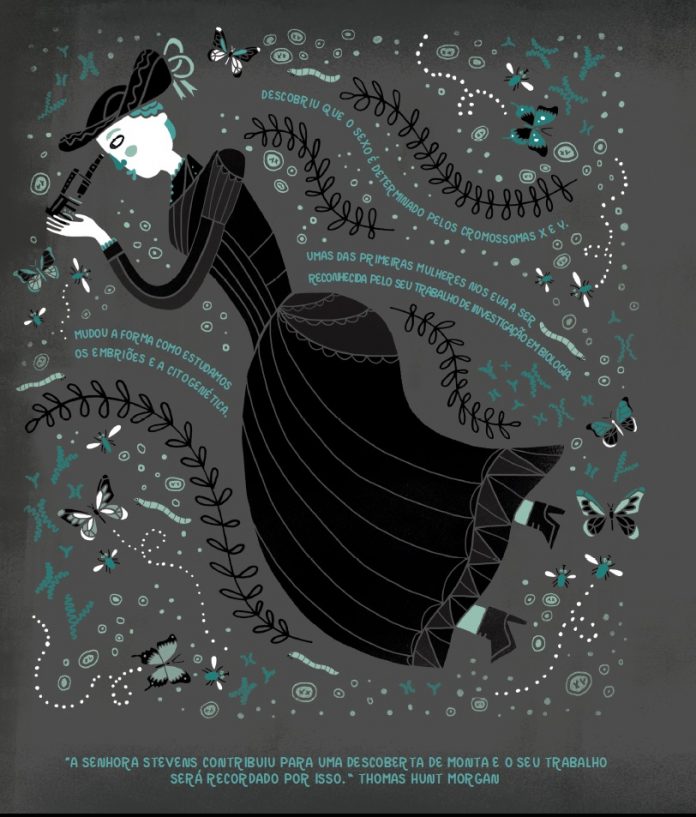 The Digital Teacher Schools Women in science Nettie Stevens broke