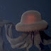 Captan en vídeo una una medusa fantasma gigante con brazos de 10 metros frente a la costa de California