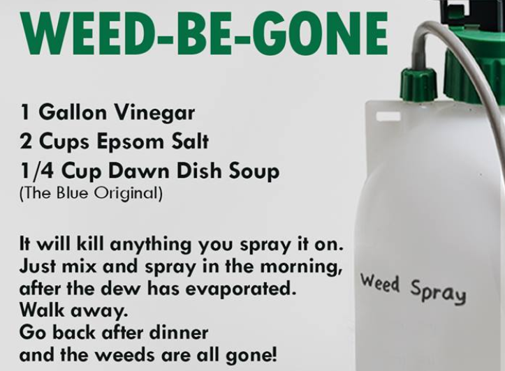 Cheryl's Frugal Corner An Unconventional Recipe or Two