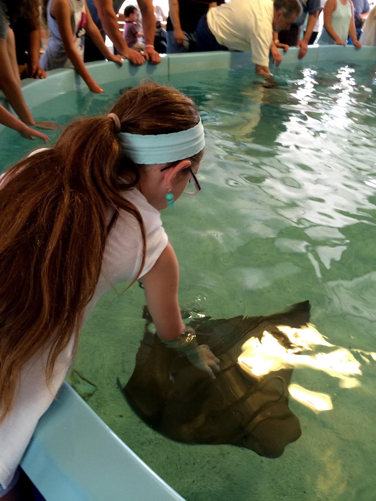 Evan and Lauren�s Cool Blog 8/15/16 Mystic Aquarium So