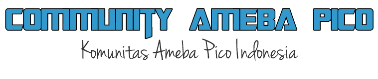 Community Ameba Pico