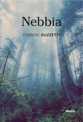 About Nebbia